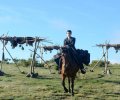 Slow West