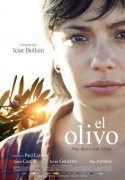 El olivo 604760