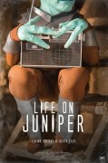 Life on Juniper 533627