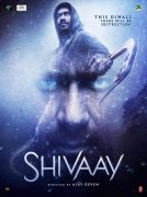 Shivaay 627643