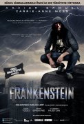 Frankenstein 567714