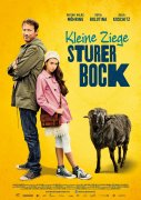 Kleine Ziege, sturer Bock 575946