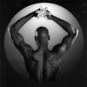 Mapplethorpe: Look at the Pictures 594946