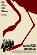 American Animals 790156