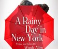 A Rainy Day in New York