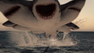 6-Headed Shark Attack 840717
