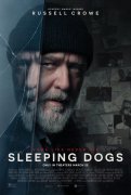 Sleeping Dogs 1045527