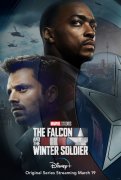 The Falcon and the Winter Soldier 978502
