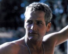 Paul Newman 233356