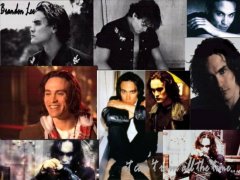 Brandon Lee 7649