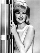 Shelley Fabares 349104