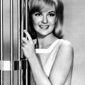 Shelley Fabares