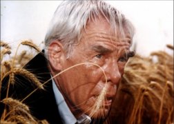 Lee Marvin 104170