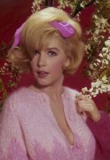 Stella Stevens 480427