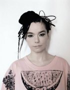 Björk 384976