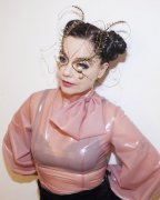 Björk 528365