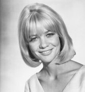 Judy Geeson 430051