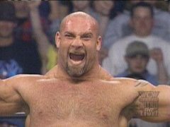 Bill Goldberg 31347