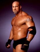 Bill Goldberg 31348