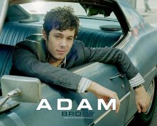 Adam Brody 163957