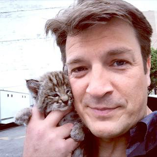 Nathan Fillion