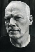 David Gilmour 310977