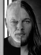 David Gilmour 310970