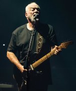 David Gilmour 310965