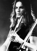 David Gilmour 310974