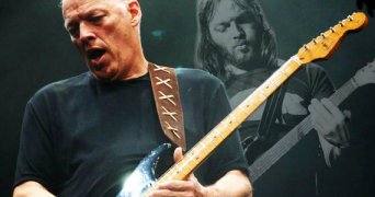 David Gilmour 310973