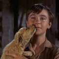 Tommy Kirk