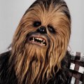 Peter Mayhew