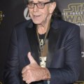 Peter Mayhew