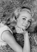 Inger Stevens 363985