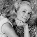 Inger Stevens