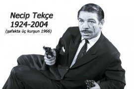 Necip Tekçe 128762