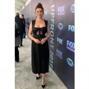 Bellamy Young 499251