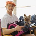 Lucas Grabeel